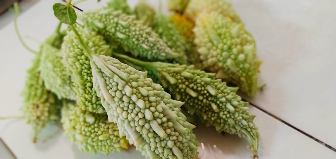 Bitter Melon: Nature’s Blood Sugar Regulator (image credits: unsplash)