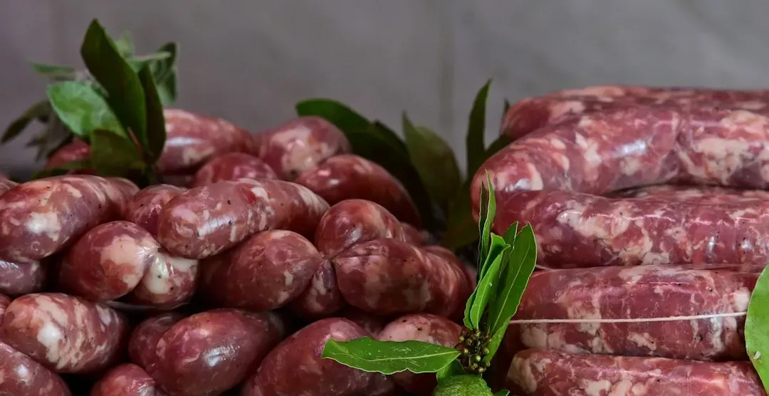 Introduction (Image Credits: Unsplash)