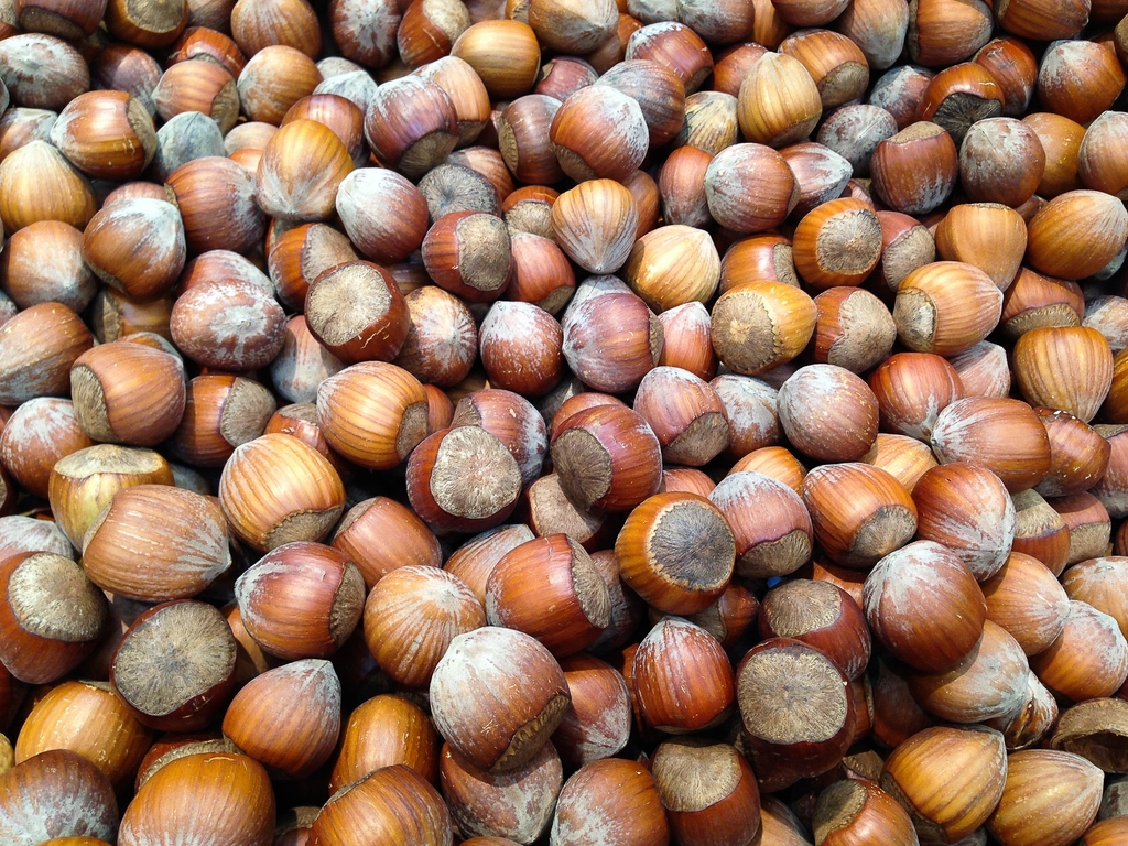 Hazelnuts – The Heart-Healthy Helpers (image credits: rawpixel)