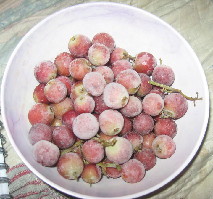 Frozen Grapes (image credits: flickr)