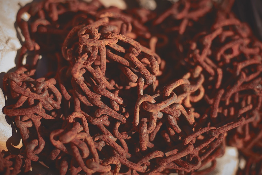Ground Meat Becomes a Pathogen Paradise (Image Credits: MISSING SOURCE)
