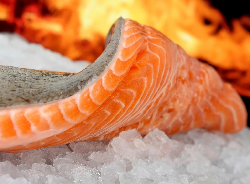 Frozen Salmon Is Flash-Frozen Gold (image credits: rawpixel)