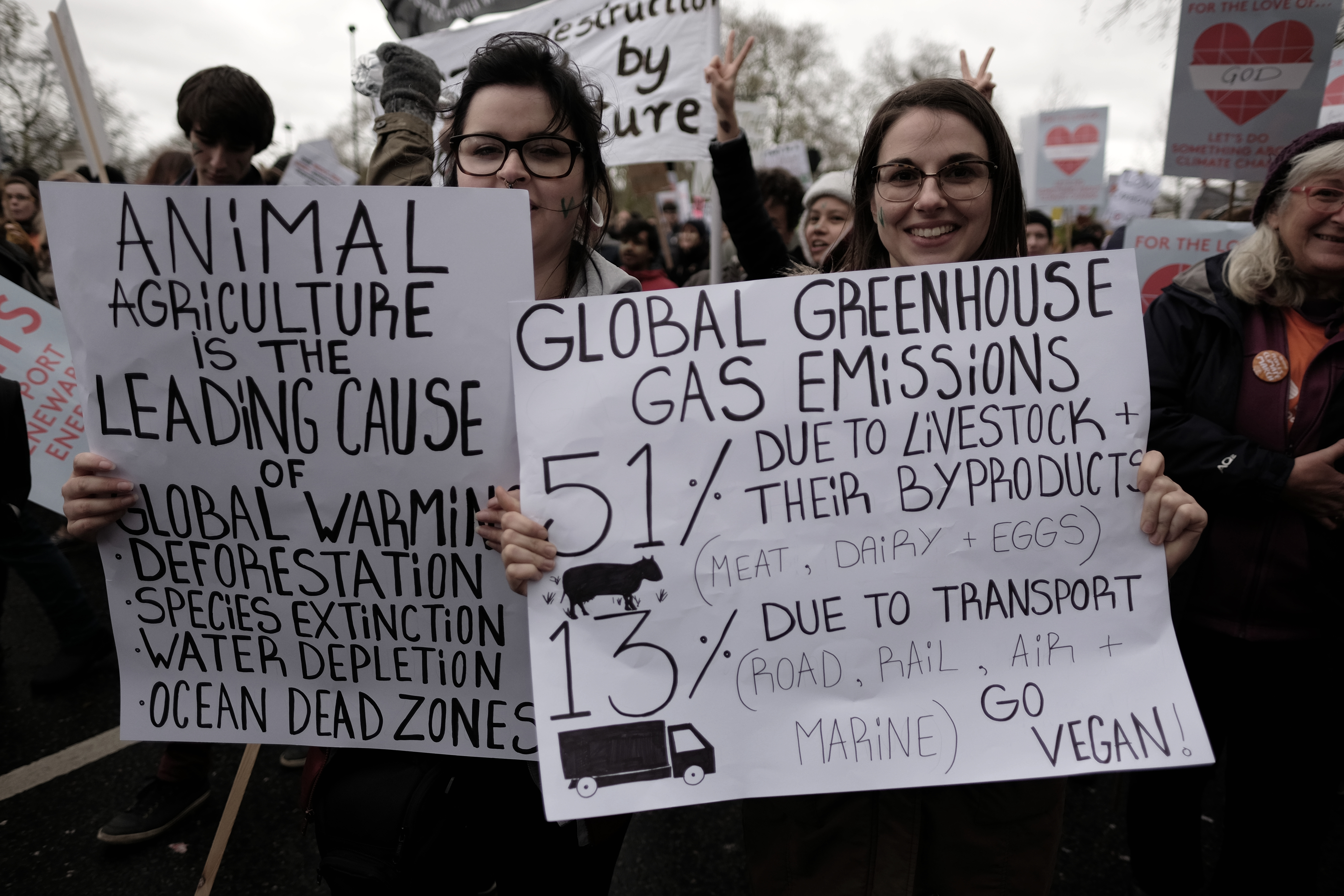 Environmental Claims: Hype or Hope? (image credits: wikimedia)