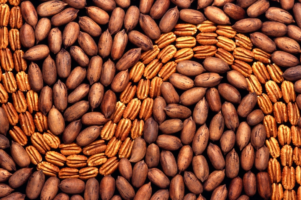 1. Peanuts: The Affordable Nut (image credits: rawpixel)