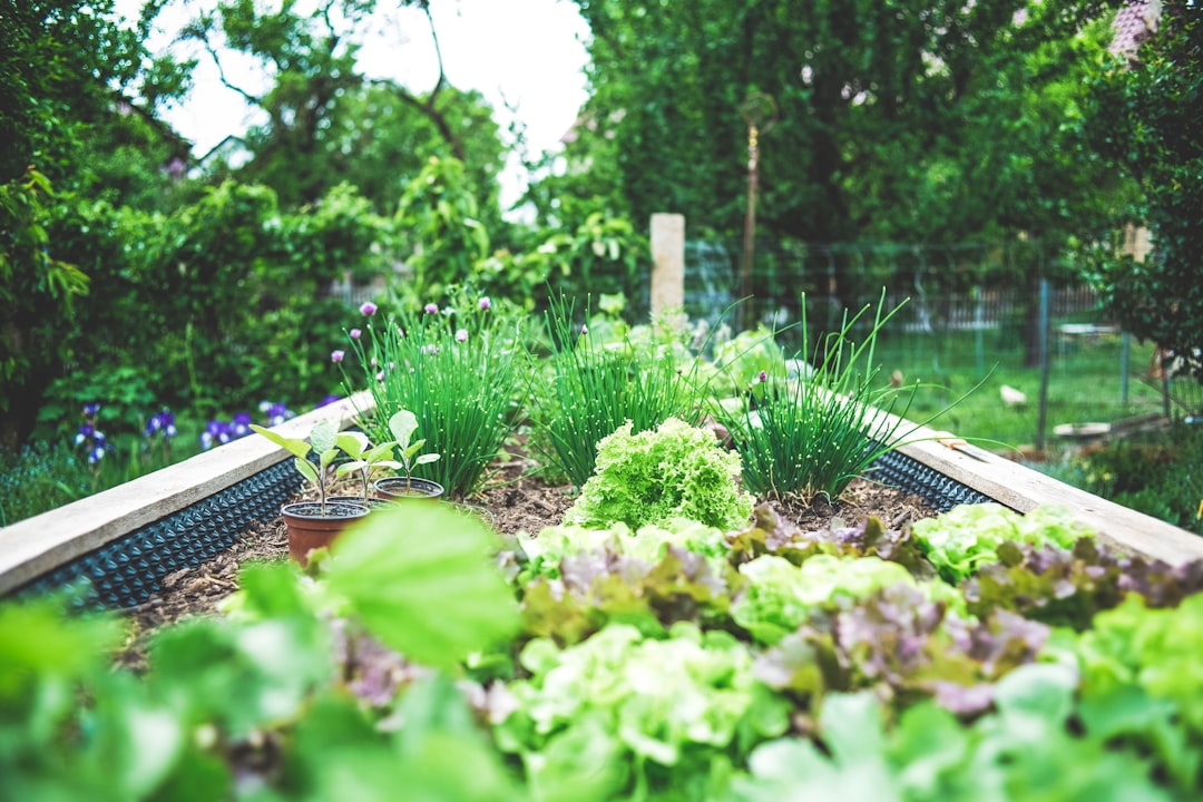 6. Gardening and Foraging (image credits: unsplash)