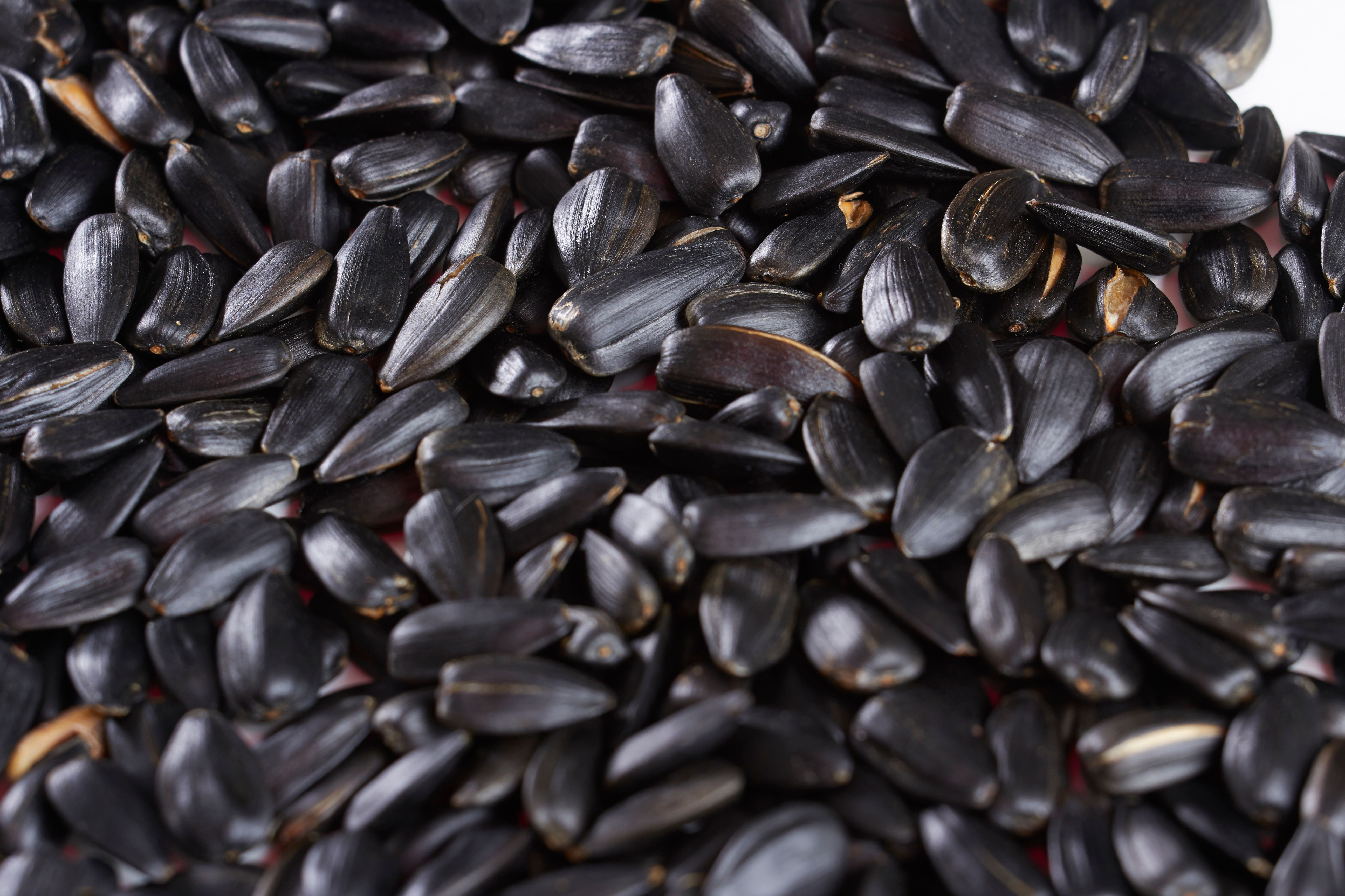 Replace Almonds and Cashews with Sunflower Seeds (image credits: wikimedia)