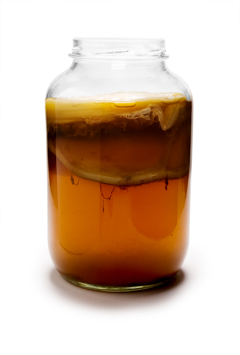 Kombucha: From Hippie Home-Brew to Corporate Beverage Aisle (image credits: Transferred from en.wikipedia to Commons by Liftarn using CommonsHelper., CC BY-SA 3.0, https://commons.wikimedia.org/w/index.php?curid=12136740)