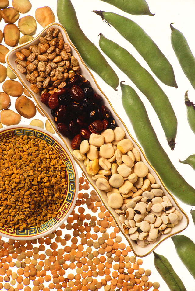 Legumes: The Plant-Based Protein Source (image credits: wikimedia)