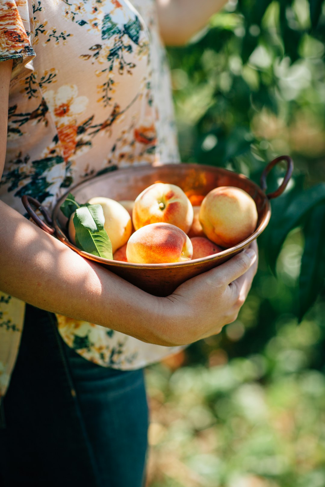 Professional Peach Storage Mastery (image credits: unsplash)