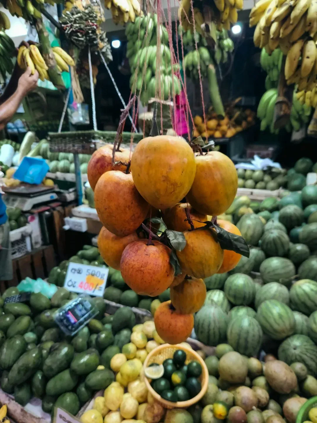 Reading Color Like a Pro (Image Credits: Unsplash)