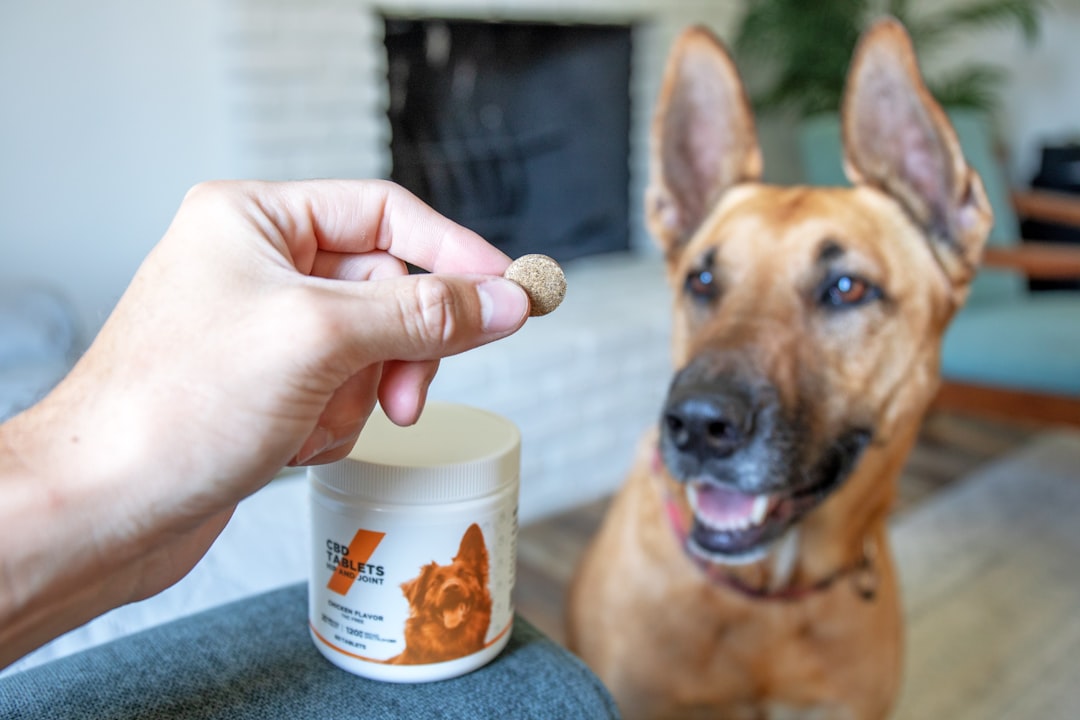 Peanut Butter Treats: Calorie-Dense and Misleading (image credits: unsplash)