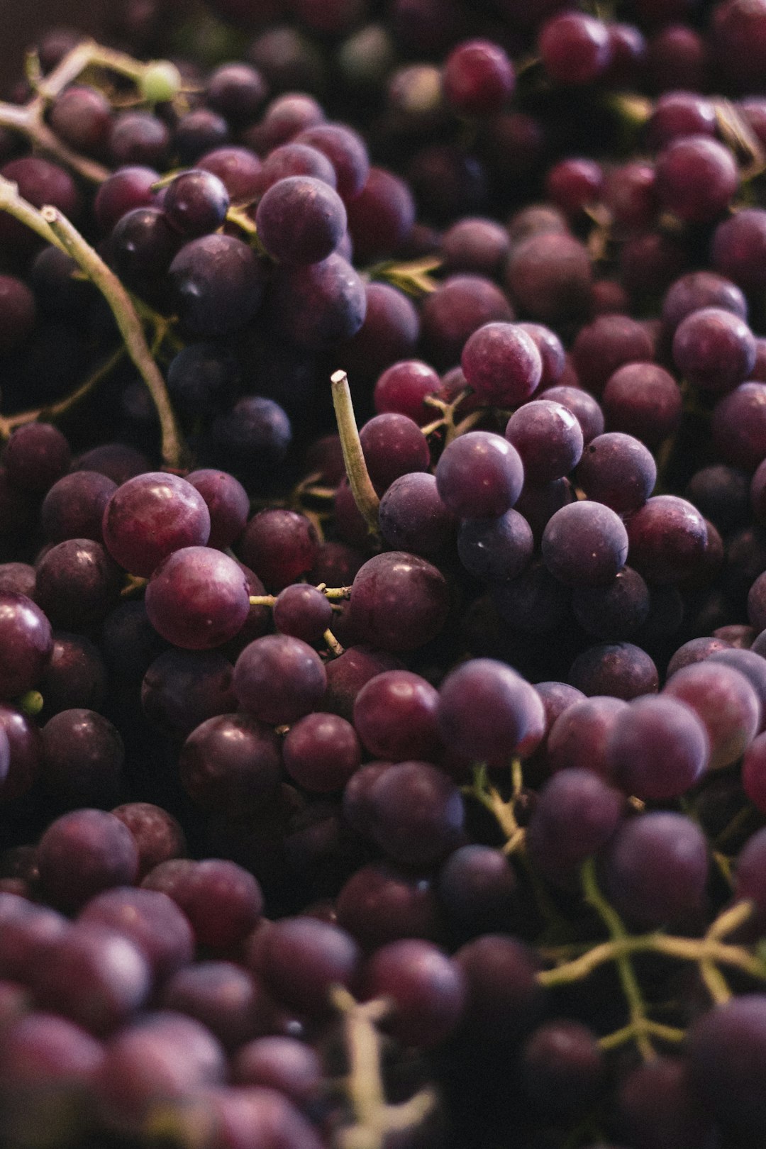 Best Ways to Eat Prunes Daily (image credits: unsplash)