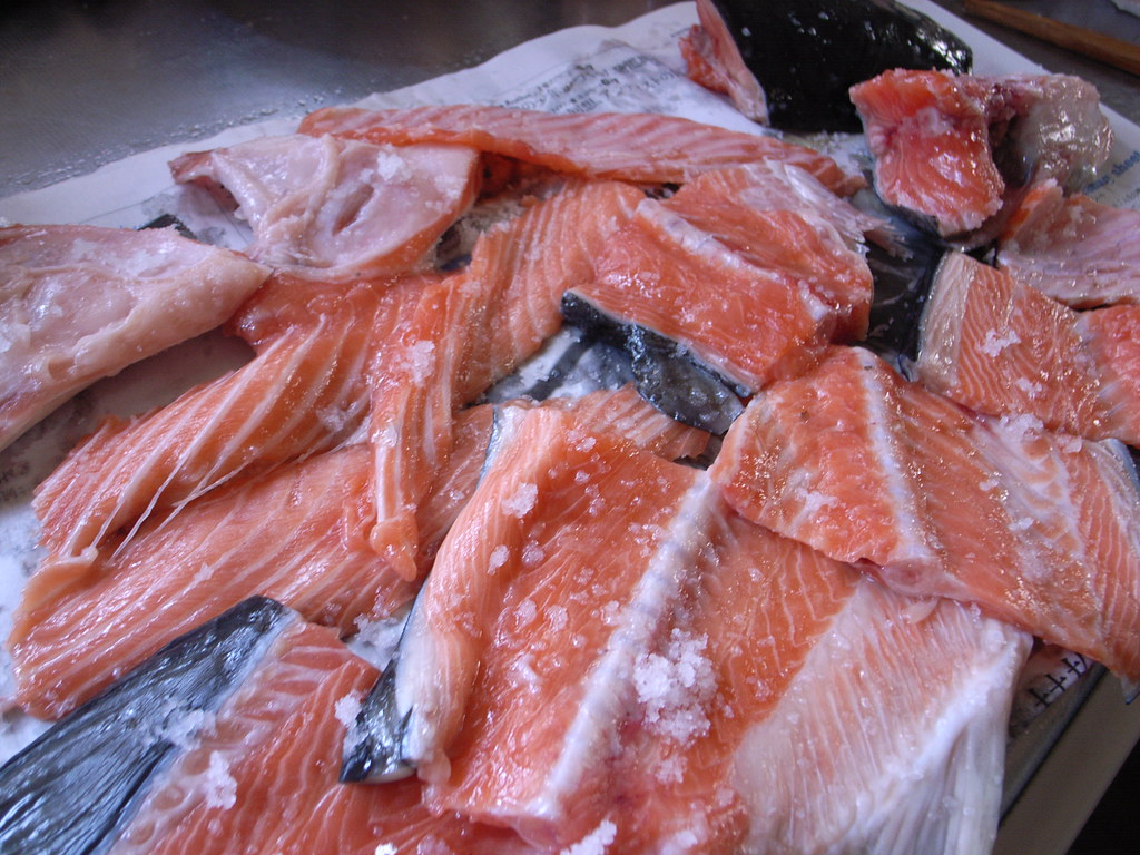 Salmon and Fatty Fish: Brain Food Champions (image credits: flickr)