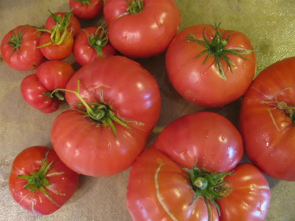 Professional Kitchens Demand Consistency Through Variety (Image Credits: Flickr)