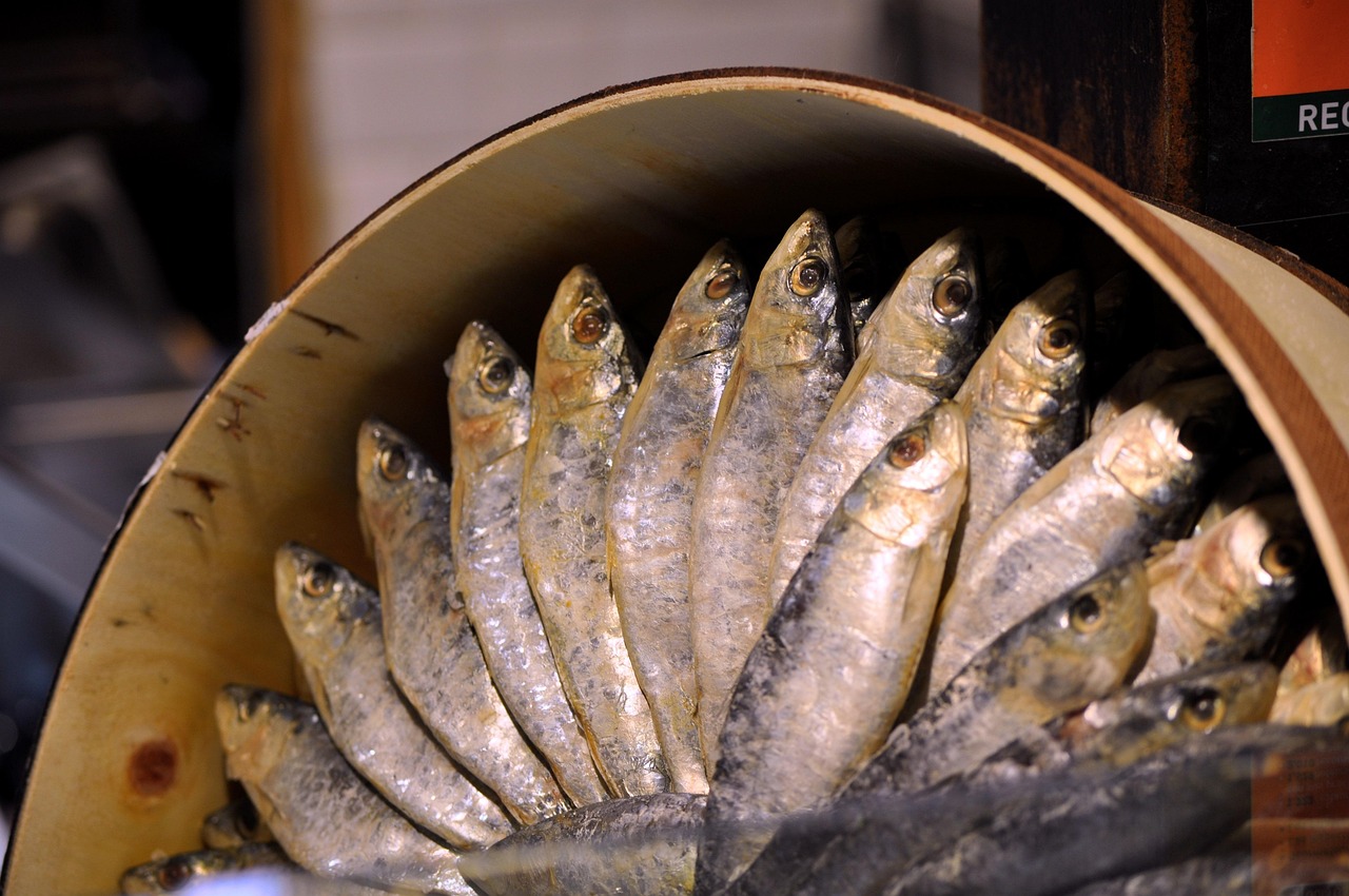 Canned Salmon or Sardines (in Water) (image credits: pixabay)
