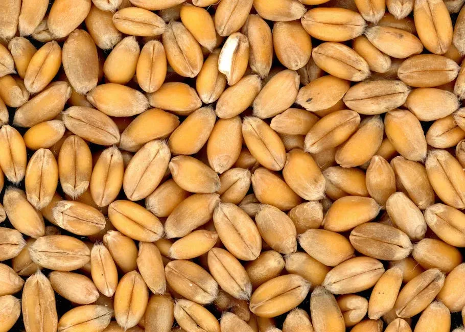 Farro: The Nutty Italian Staple (Image Credits: Pexels)