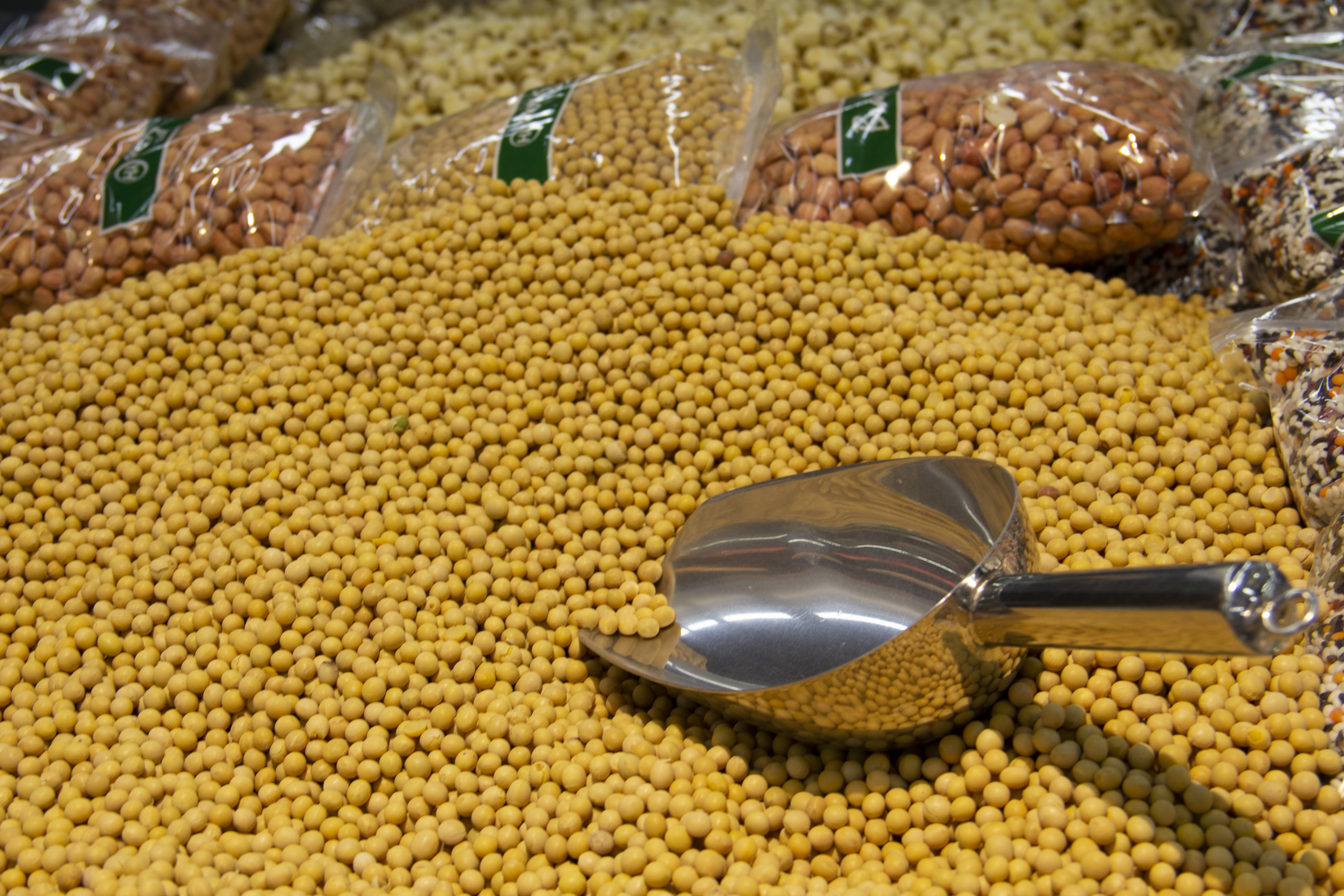 Navigating Complex Supply Chains (image credits: wikimedia)