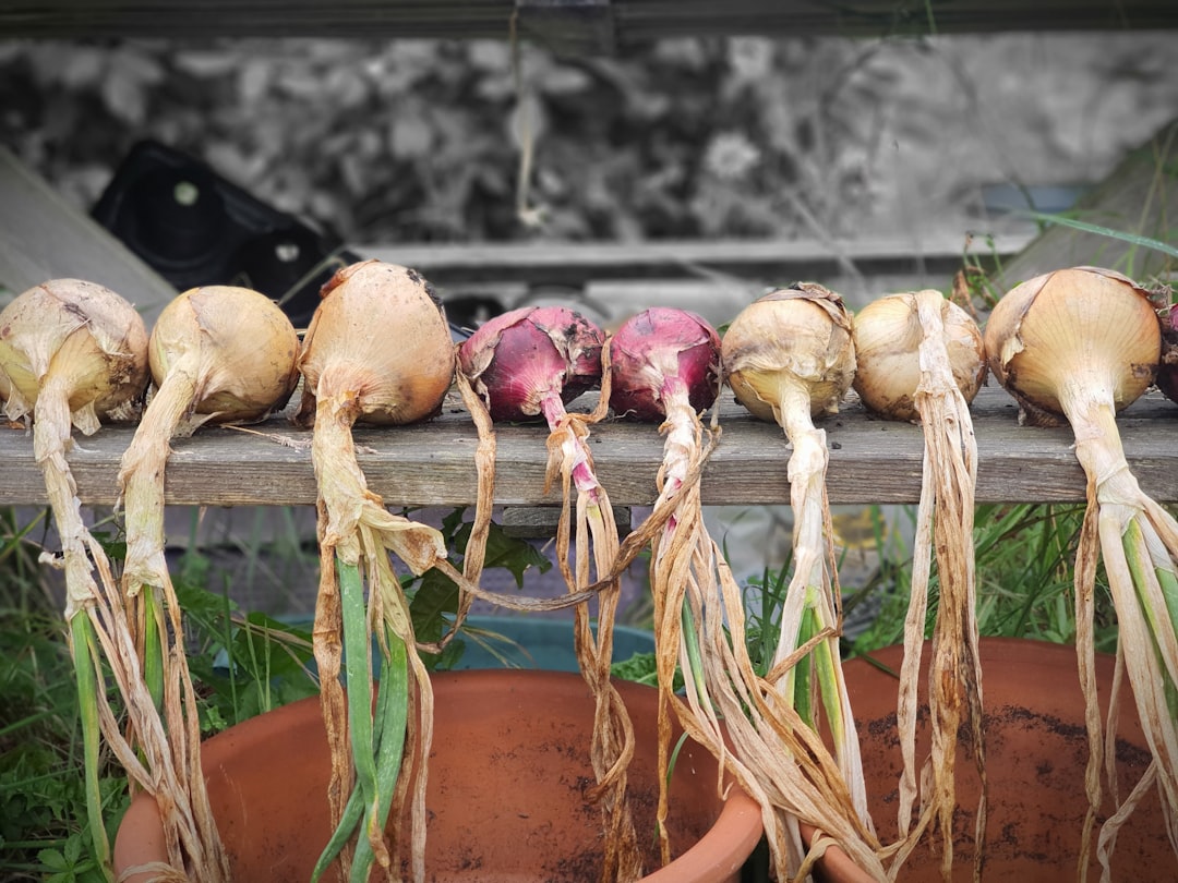 Rutabaga: The Sweet Root With A Secret (image credits: unsplash)