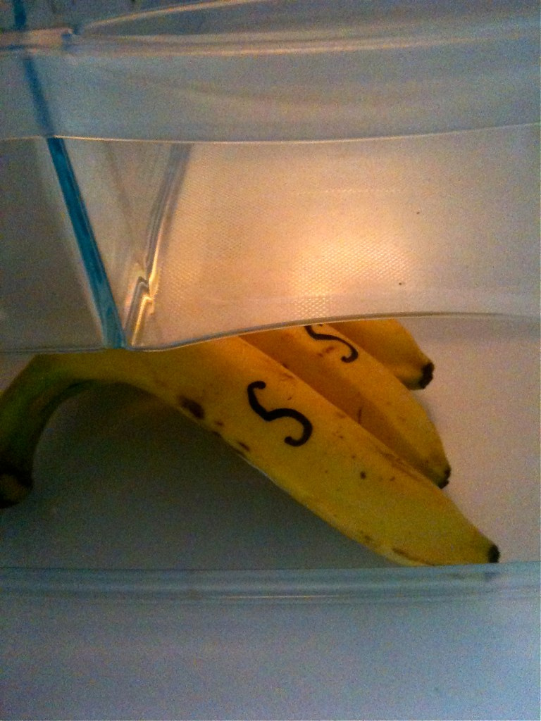 The Refrigerator Paradox You Need to Understand (image credits: wikimedia)