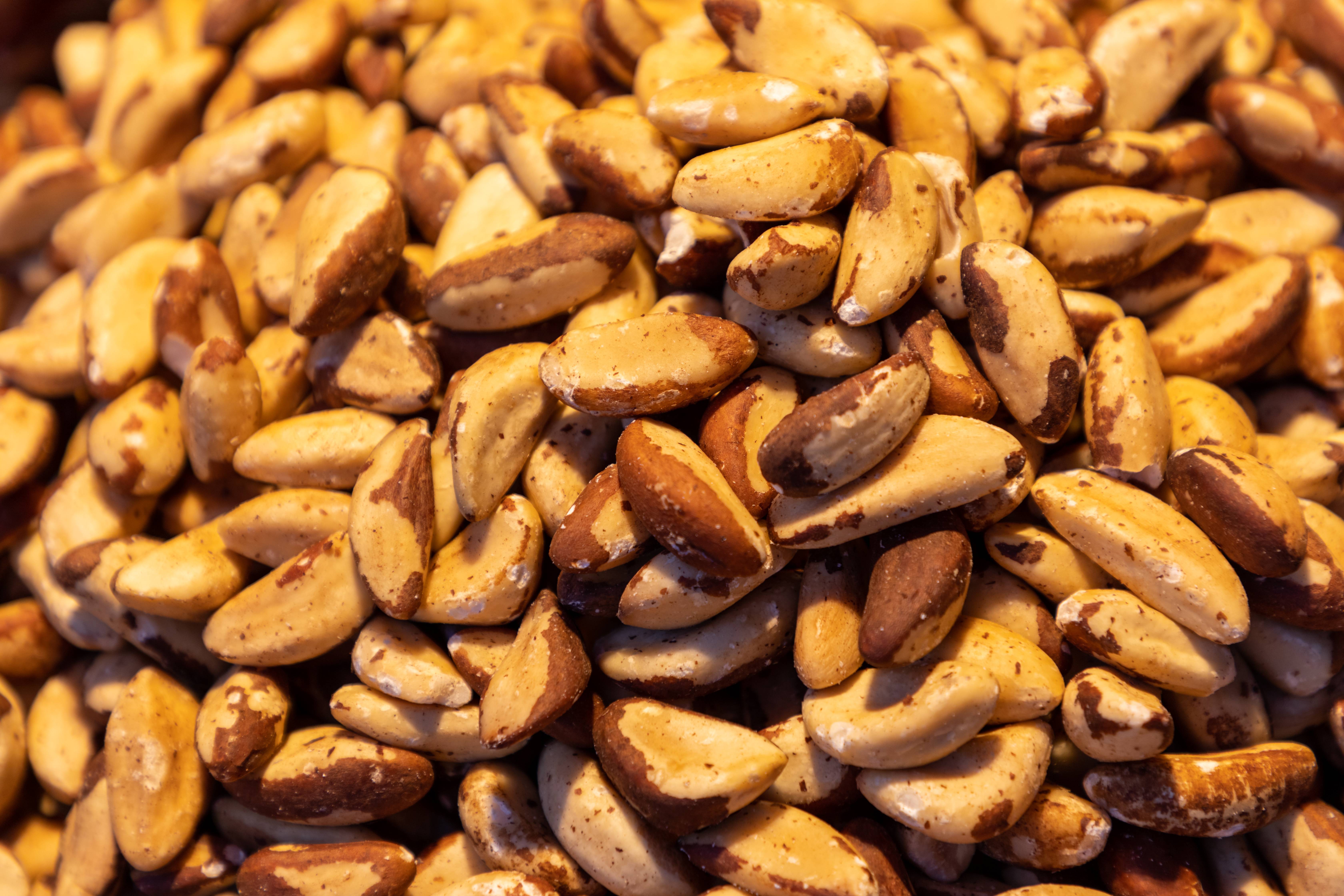Brazil Nuts: The Selenium Superstars (image credits: wikimedia)