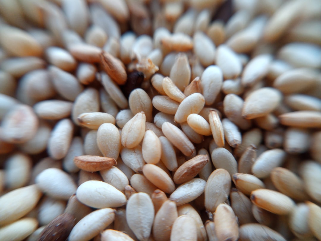 Tiny Seeds, Massive Fiber Power (image credits: unsplash)