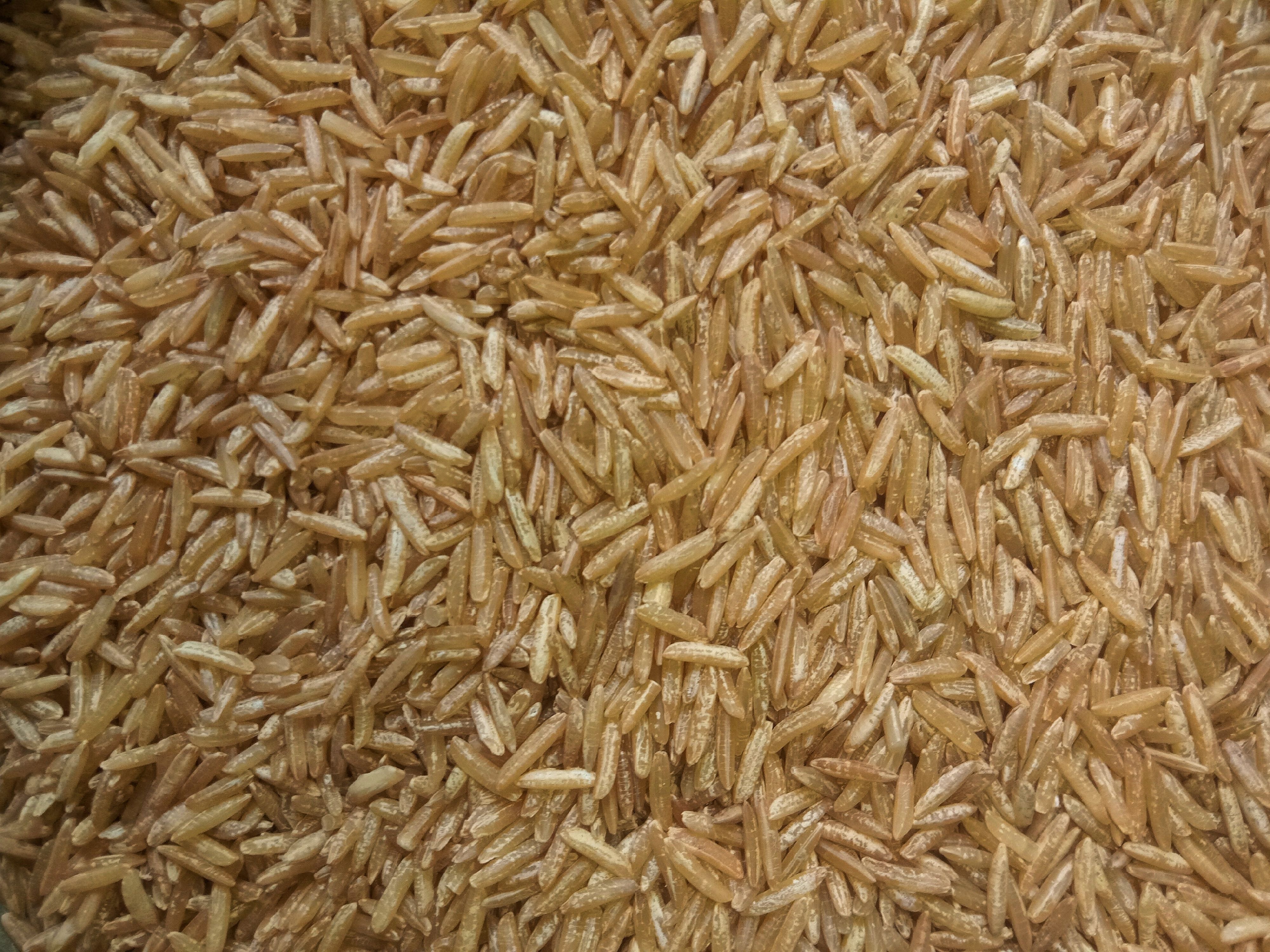 7. Brown Rice (image credits: wikimedia)