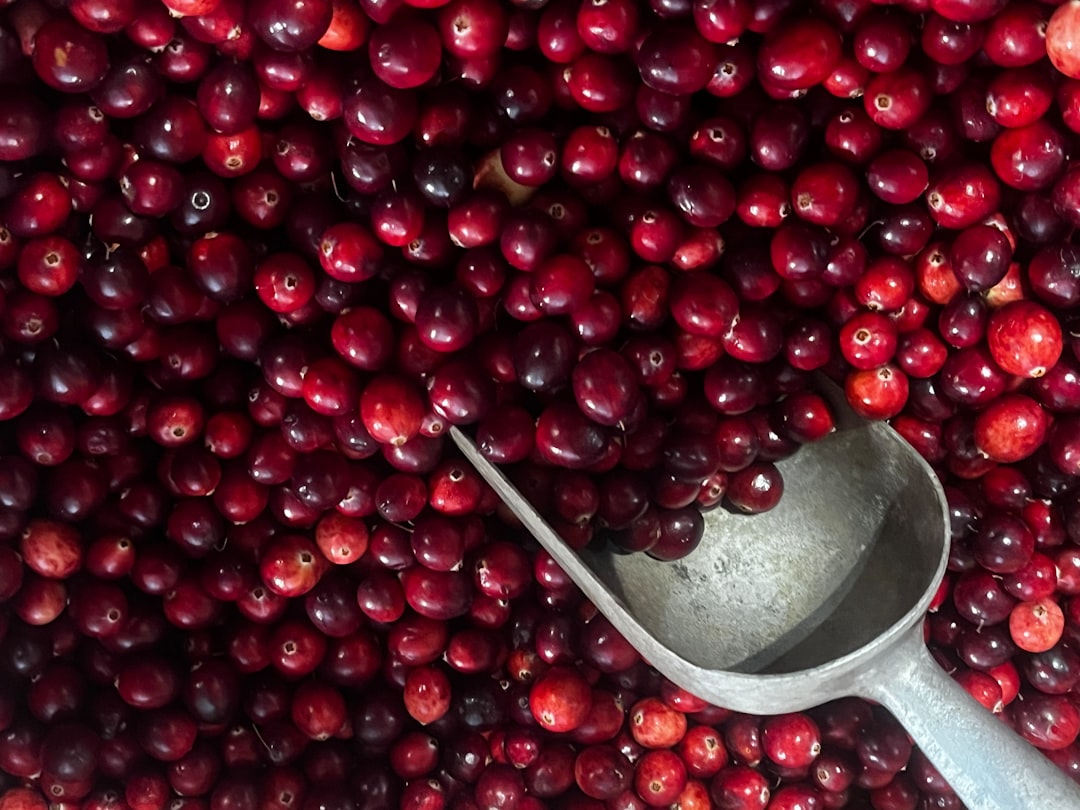 No Cranberry Sauce Despite Local Abundance (image credits: unsplash)