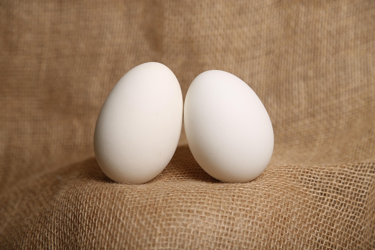 8. Duck Eggs: Exceptional Vitamin B12 and D Content (image credits: pixabay)