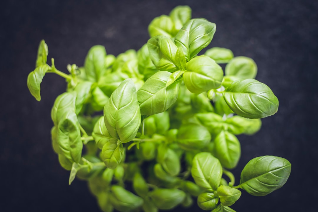 3. Neglecting Fresh Herbs and Spices (image credits: unsplash)
