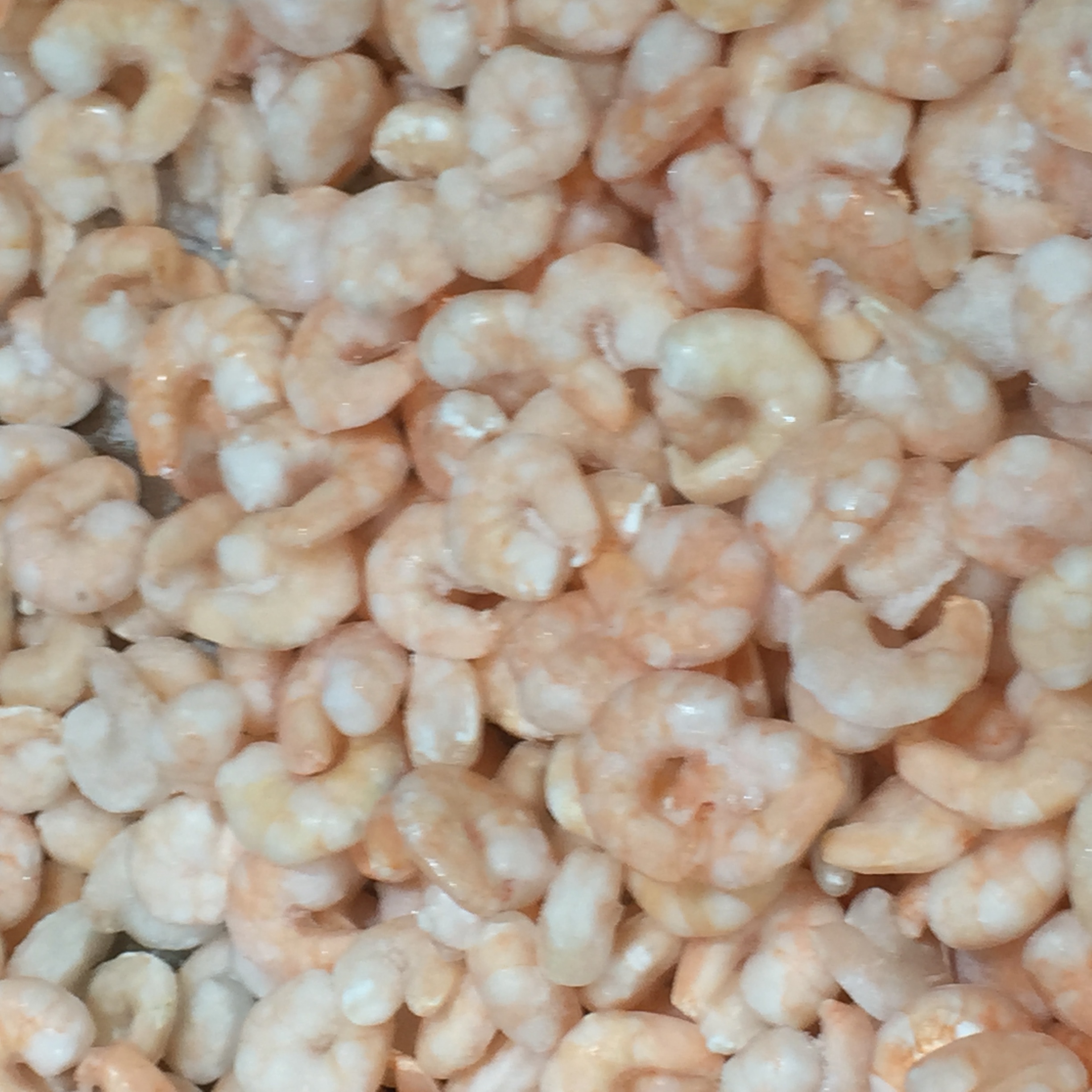 Frozen Shrimp (image credits: wikimedia)