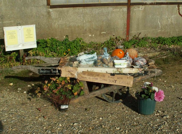 Seasonal Eating: A Natural Extension (image credits: wikimedia)
