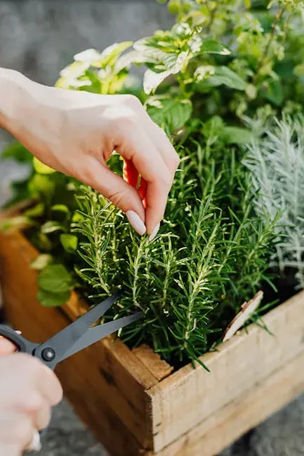 4. Skipping the Stem Trim (Image Credits: Pexels)