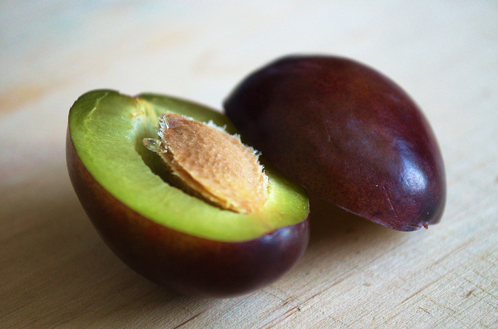 Plum (image credits: flickr)