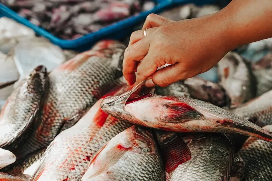 Conclusion (Image Credits: Pexels)