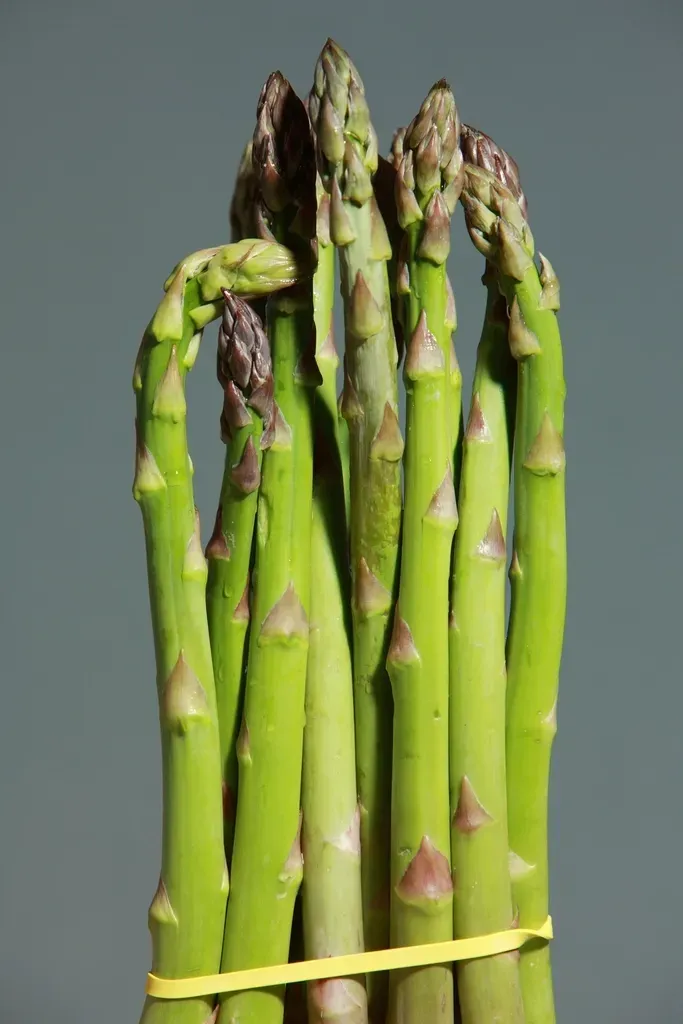 Asparagus Delivers Inulin for Gut Bacteria (Image Credits: Rawpixel)