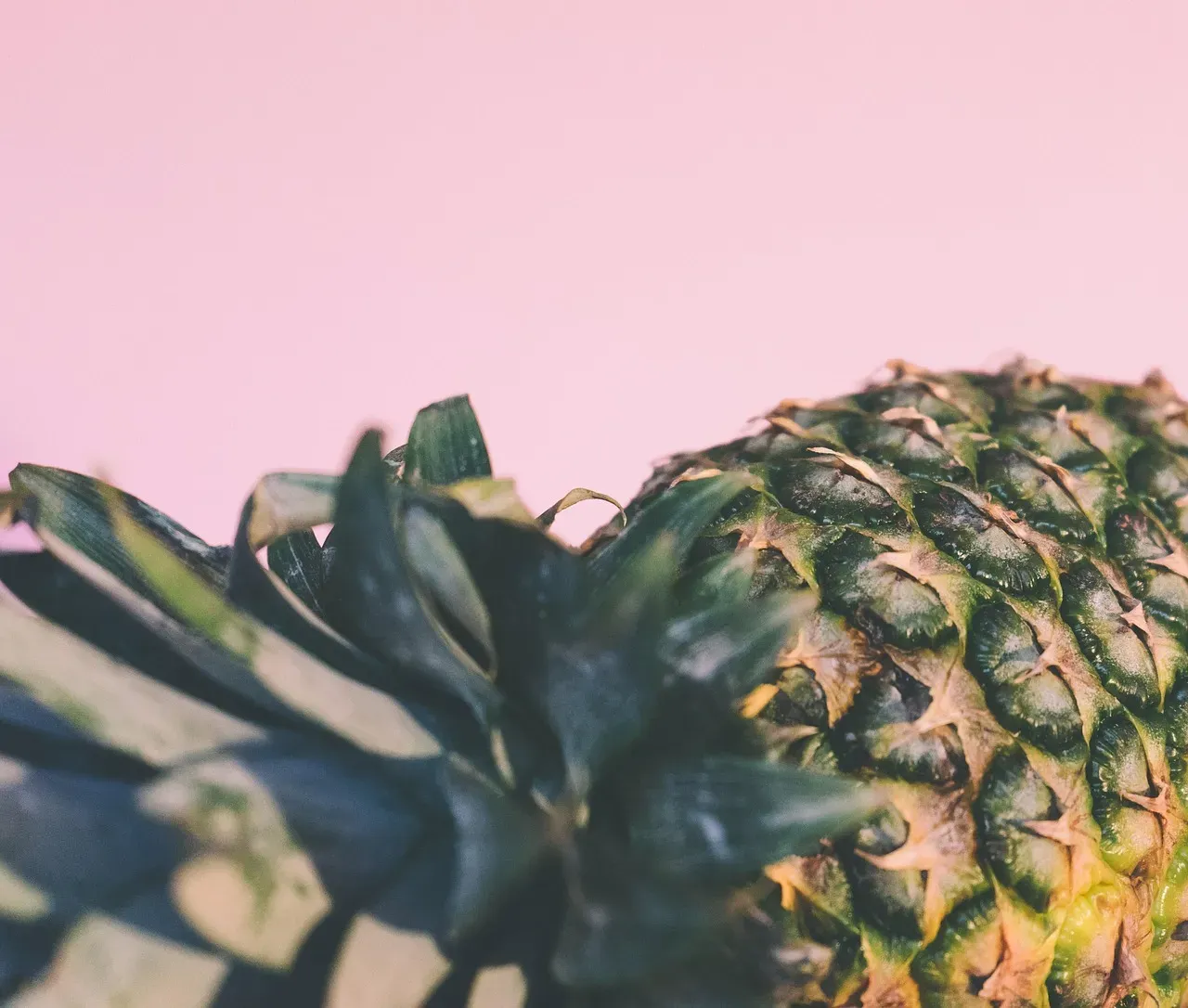 Conclusion: A Pineapple That Changed the Rules (Image Credits: Pixabay)