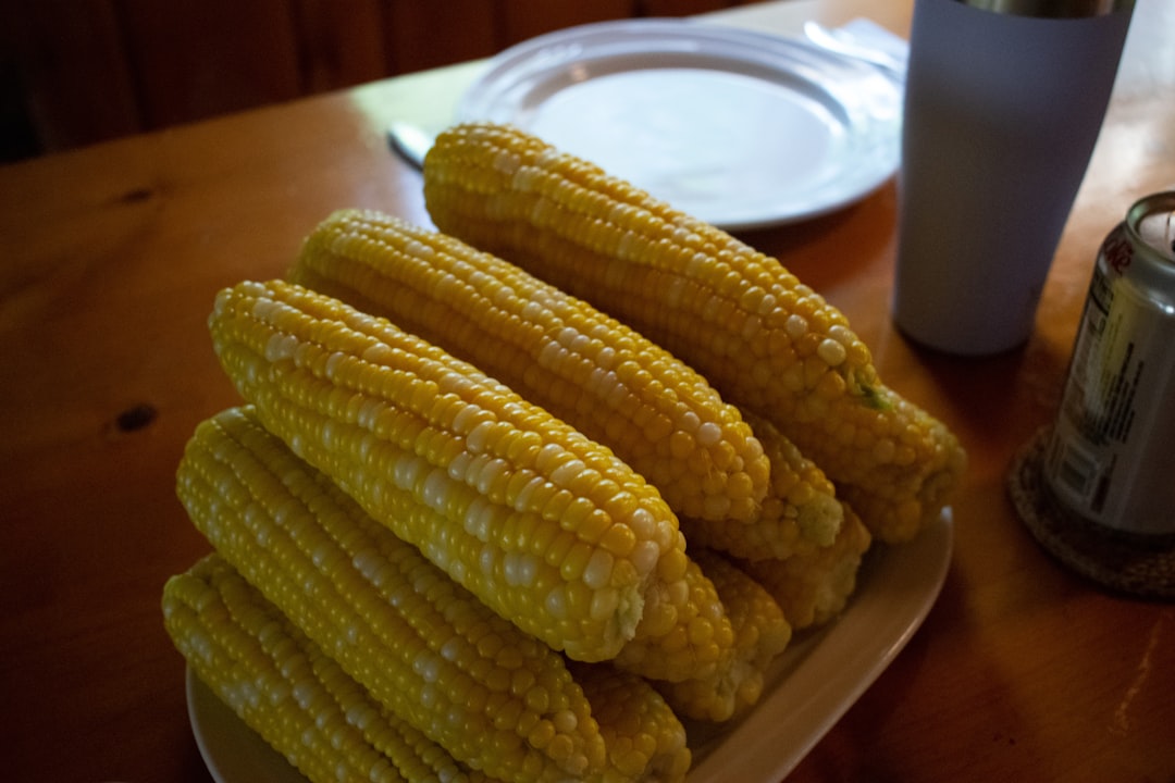 Corn (image credits: unsplash)