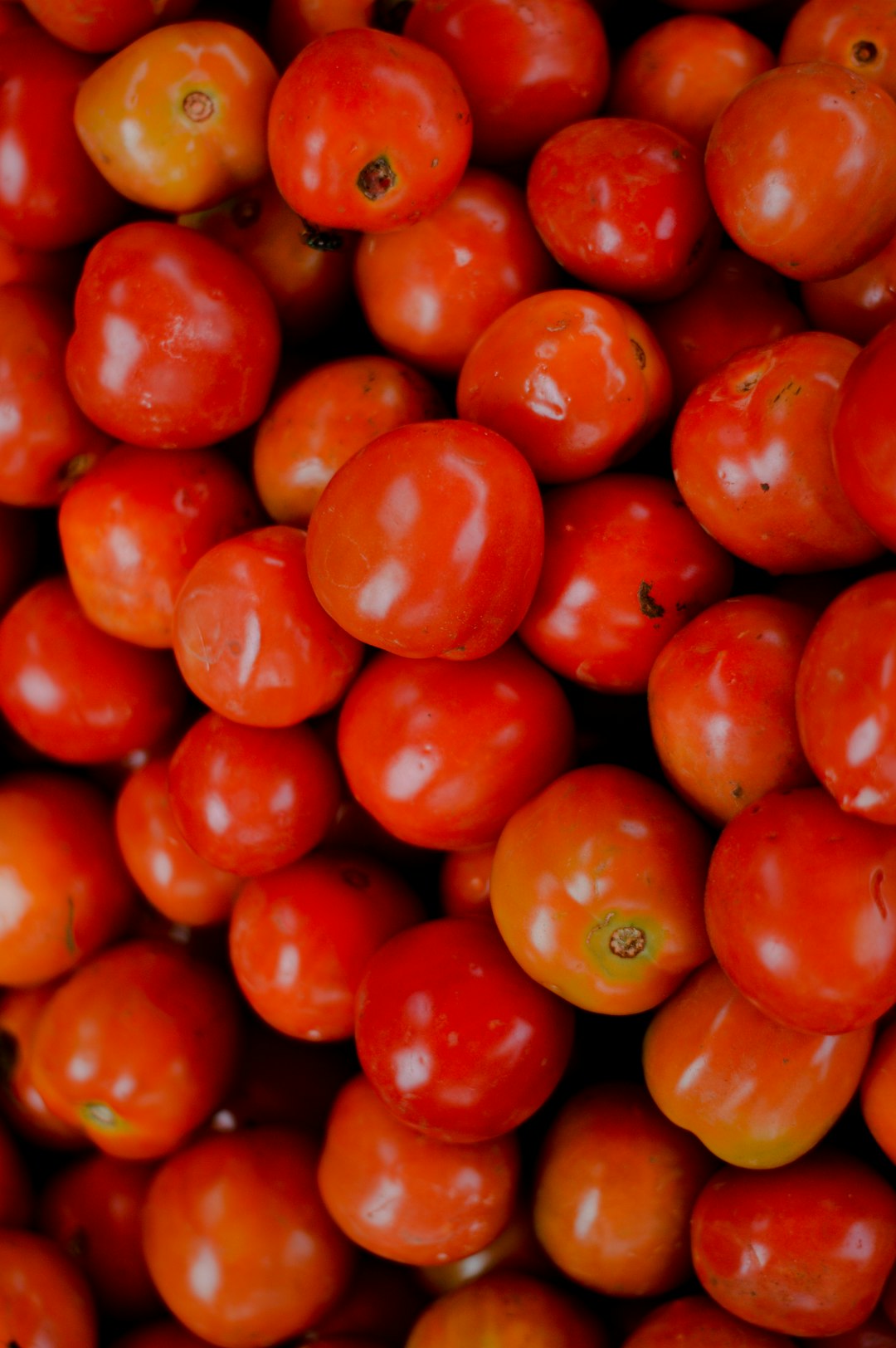Tomatoes - The Classic Confusion (image credits: unsplash)