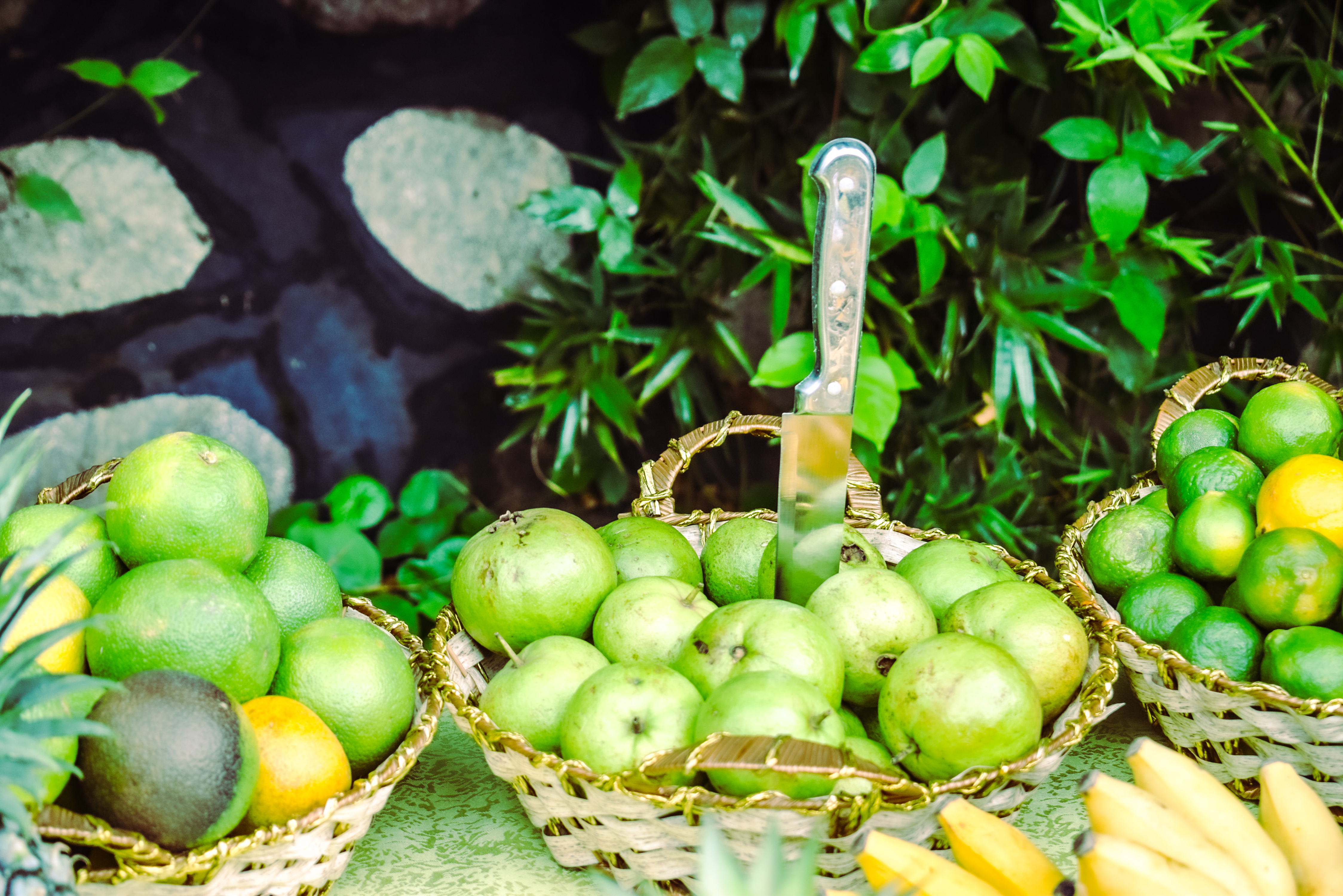 Hydrating & Soothing Fruits: Help with Bloating & Acidity (image credits: wikimedia)