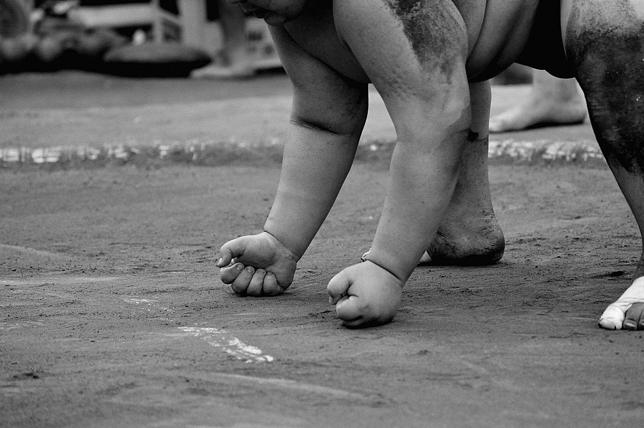 Obesity Rates Remain Lower in Europe (image credits: pixabay)