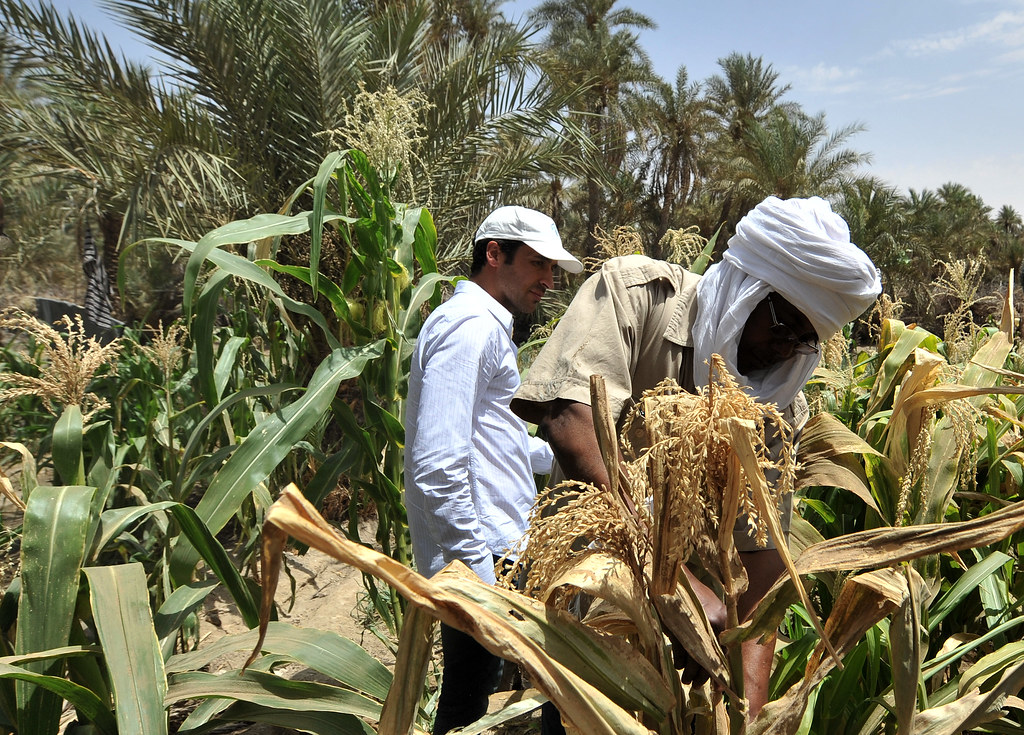 Niger: Pastoral Traditions and Indigenous Grains (Image Credits: Flickr)