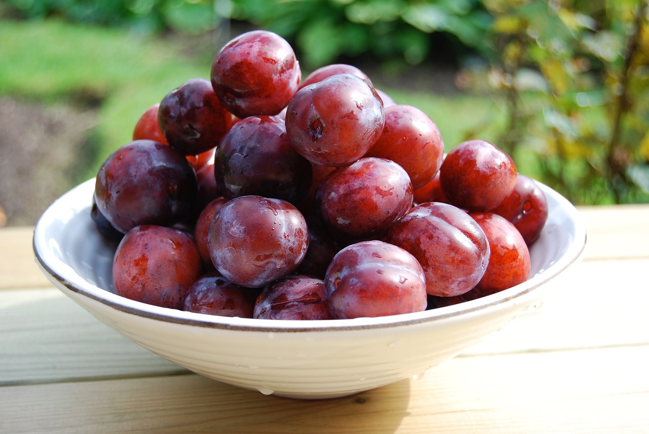 Plums: Modest Size, Impressive Results (image credits: pixabay)