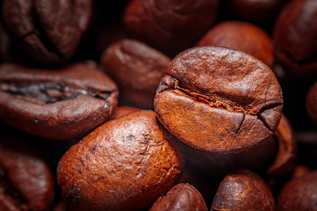 The Addiction Factor (image credits: unsplash)