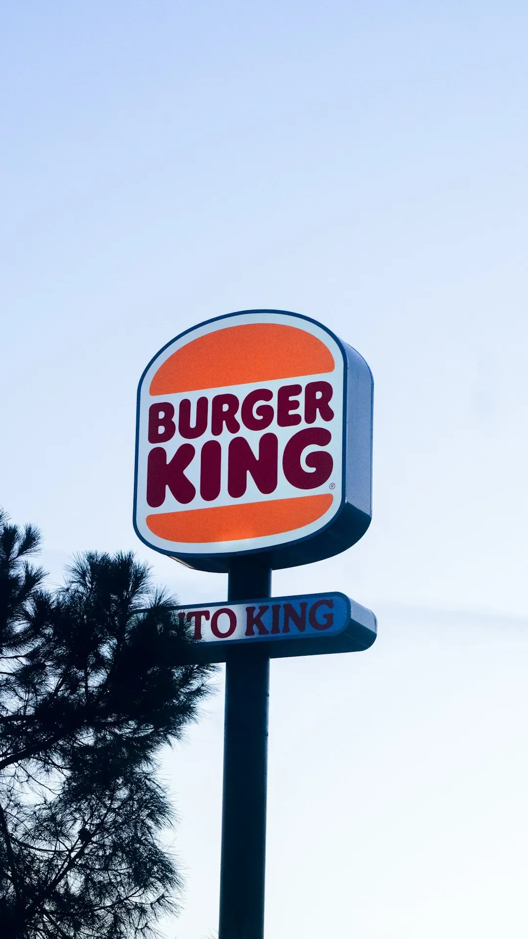Burger King: Middling Monarchy (Image Credits: Unsplash)