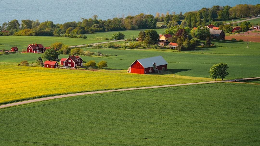 Denmark Proves Small Countries Can Lead (Image Credits: Unsplash)