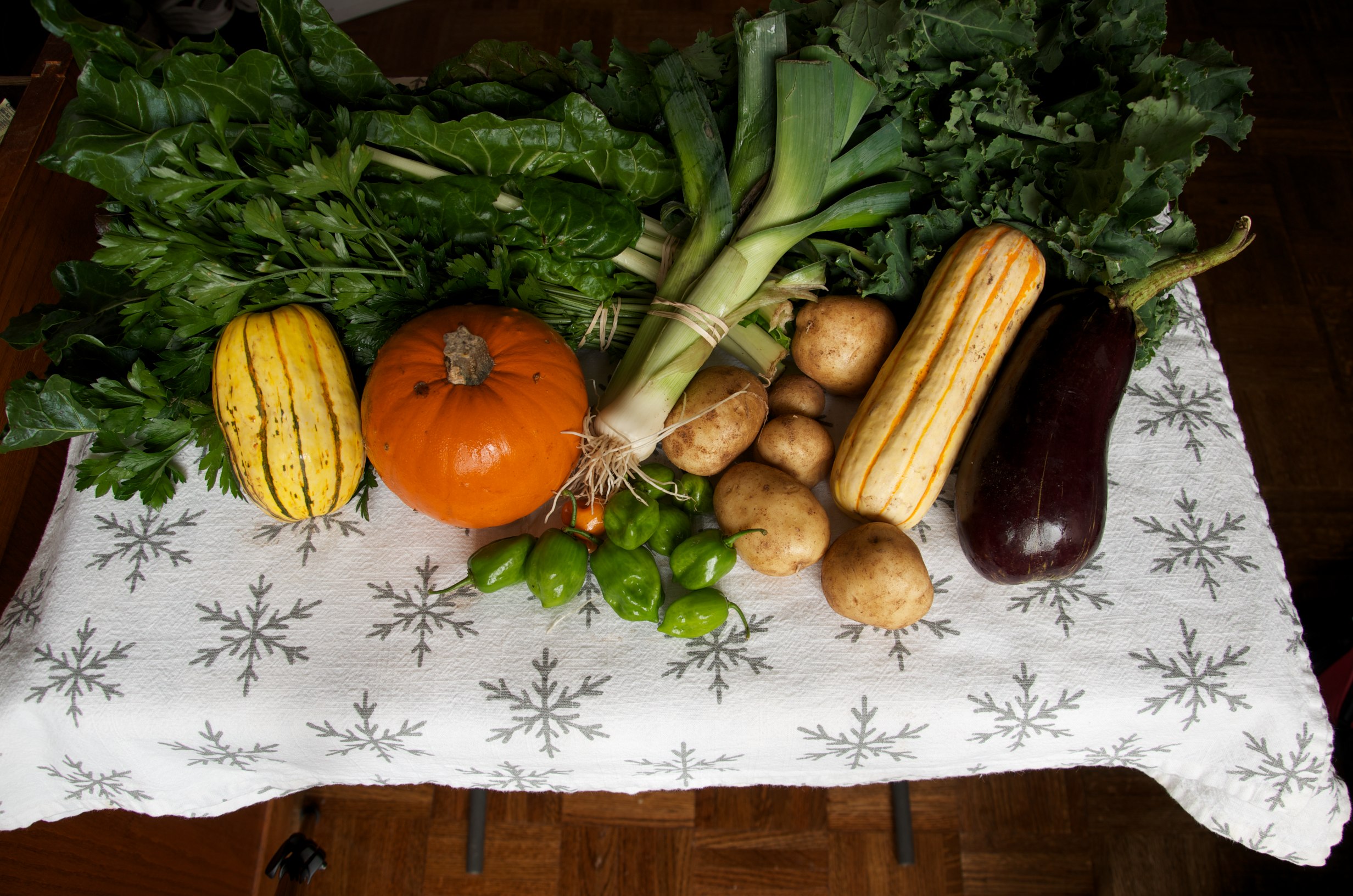 Community-Supported Agriculture (CSA) Boxes (image credits: wikimedia)