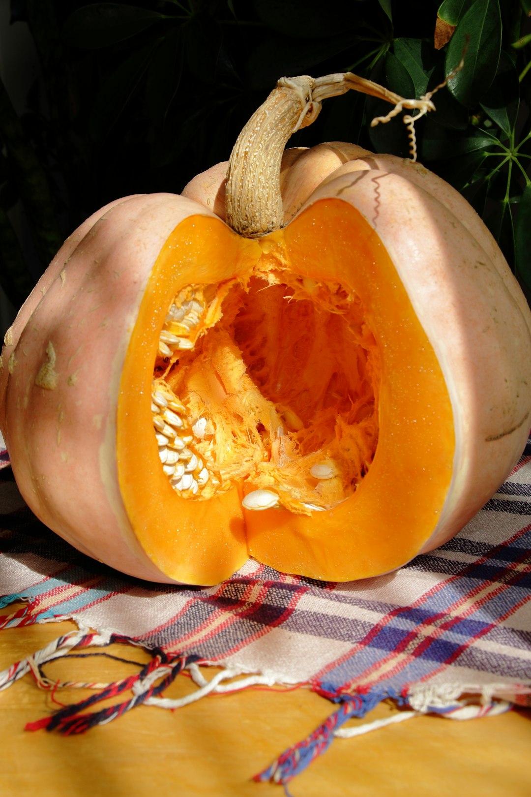 Pumpkin Power - Nature's Digestive Helper (image credits: unsplash)