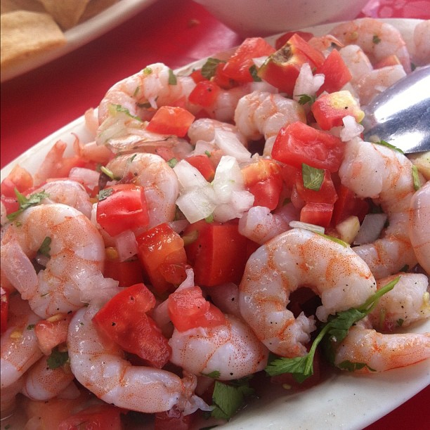 Ceviche - The Ocean's Gift to Mexican Cuisine (image credits: wikimedia)
