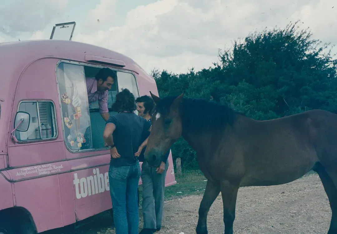 The Nostalgia Revival: Are Any of These Coming Back? (Image Credits: Unsplash)