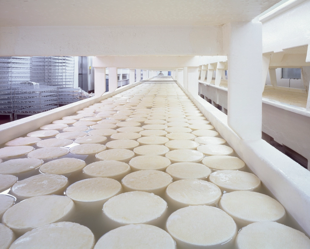 Challenges Faced by Domestic Cheesemakers (image credits: rawpixel)
